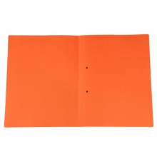 益而高（EAGLE）3001P10A 纸皮文件夹/纸夹子/纸质分类卡/报告夹/分类夹/挂劳纸夹 A4无插袋 20个/包 橙色