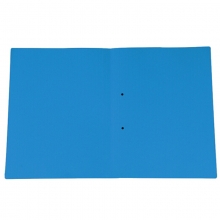 益而高（EAGLE）3001P10A 纸皮文件夹/纸夹子/纸质分类卡/报告夹/分类夹/挂劳纸夹 A4无插袋 20个/包 蓝色