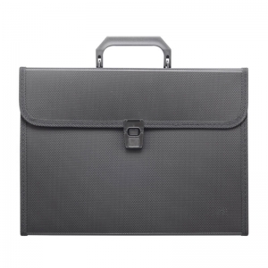 齐心（COMIX）KF412TJ 锁扣式手柄风琴包/手提式风琴事务包 A4 12层 黑色