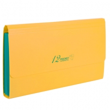 晨光（M&G）AWT91913 票据风琴包/资料包/文件包 26*15cm 12格 颜色随机