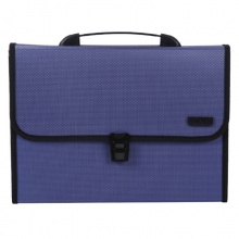 晨光（M&G）AWT90959 手提风琴包/资料包/文件包 A4 12格 蓝色