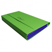 晨光（M&G）AWT91913 票据风琴包/资料包/文件包 26*15cm 12格 颜色随机