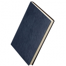 得力（deli）3306 商务办公笔记本/仿皮本/皮面本 A4-160页 蓝色