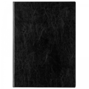得力（deli）3306 商务办公笔记本/仿皮本/皮面本 A4-160页 黑色