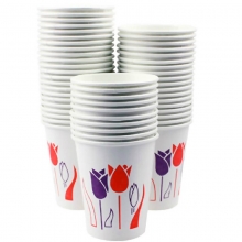 绿奥 250ml 一次性纸杯（紫红荷花）8盎司 170G畅销款 50个/提，40提/箱