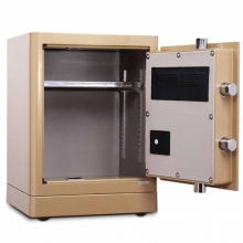 得力（deli）4066 电子防盗密码保管箱保险柜 指纹+密码双重防盗国标保险箱 高52cm 金色