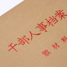 永硕（UOSO）2.5cm PP塑料干部人事档案盒 A4新标准人事档案夹 PP塑料人事档案盒（三柱蛇簧夹）10个装