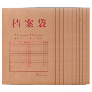 得力（deli）5953 牛皮纸档案袋 175g混浆 A4-3cm 10个/包